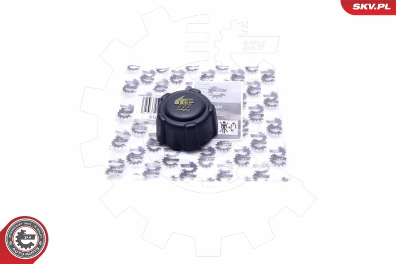 Cap, coolant tank